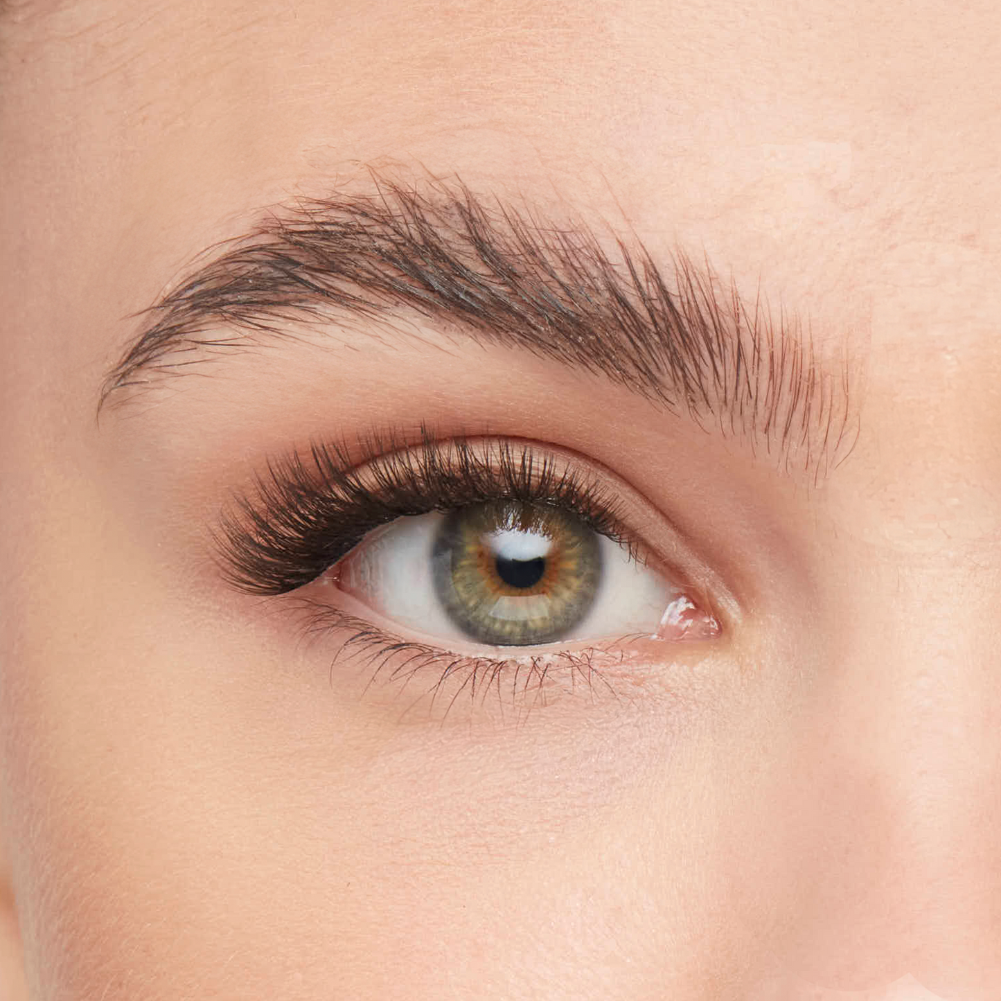 Classic cat eye lashes applied on eye, featuring a subtle flare with longer outer lashes for a lifted, elegant shape.