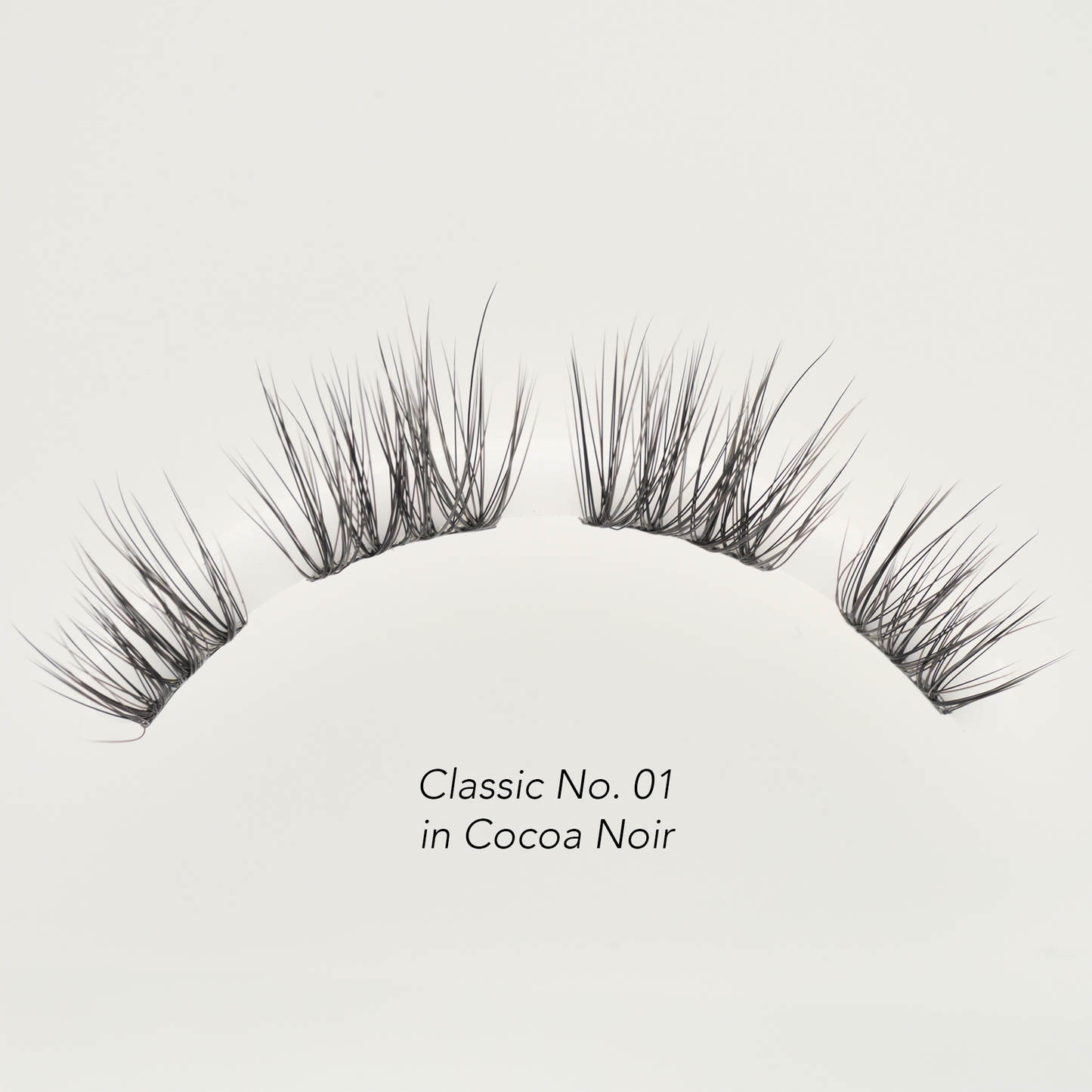 Lash Balayage Starter Kit