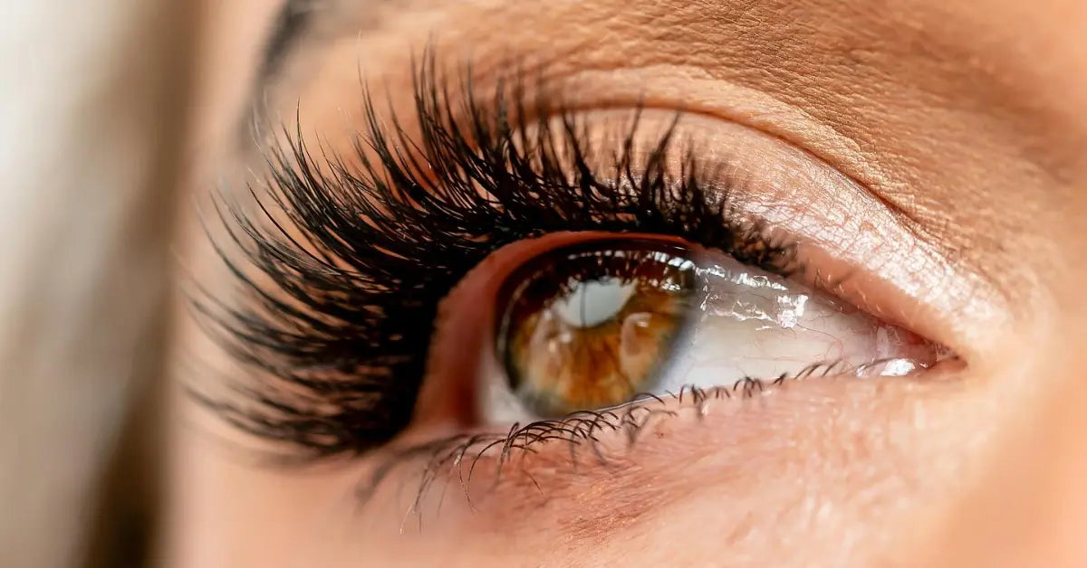 Best lash options close-up of long, voluminous false lashes on a brown eye looking upward.