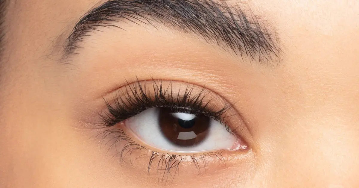 Natural-looking eyelash extensions close-up of single eye with soft, fluttery lash style.