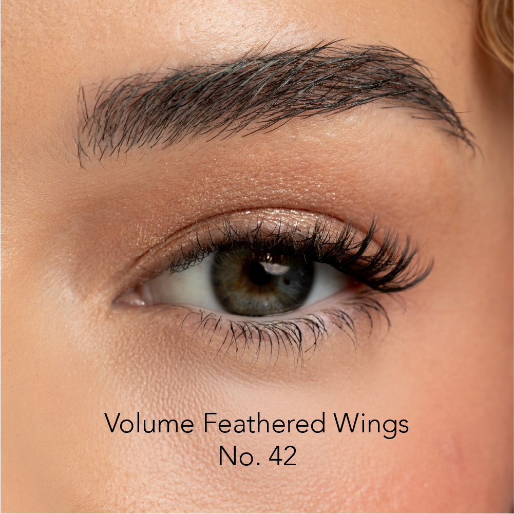 Close-up of an eye with voluminous, feathered eyelashes labeled 'Volume Feathered Wings No. 42'.
