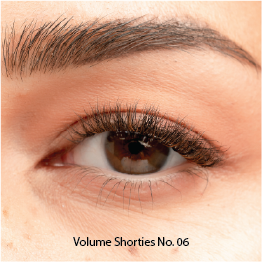 Bronde Balayage Lashes