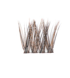 Bronde Balayage Lashes