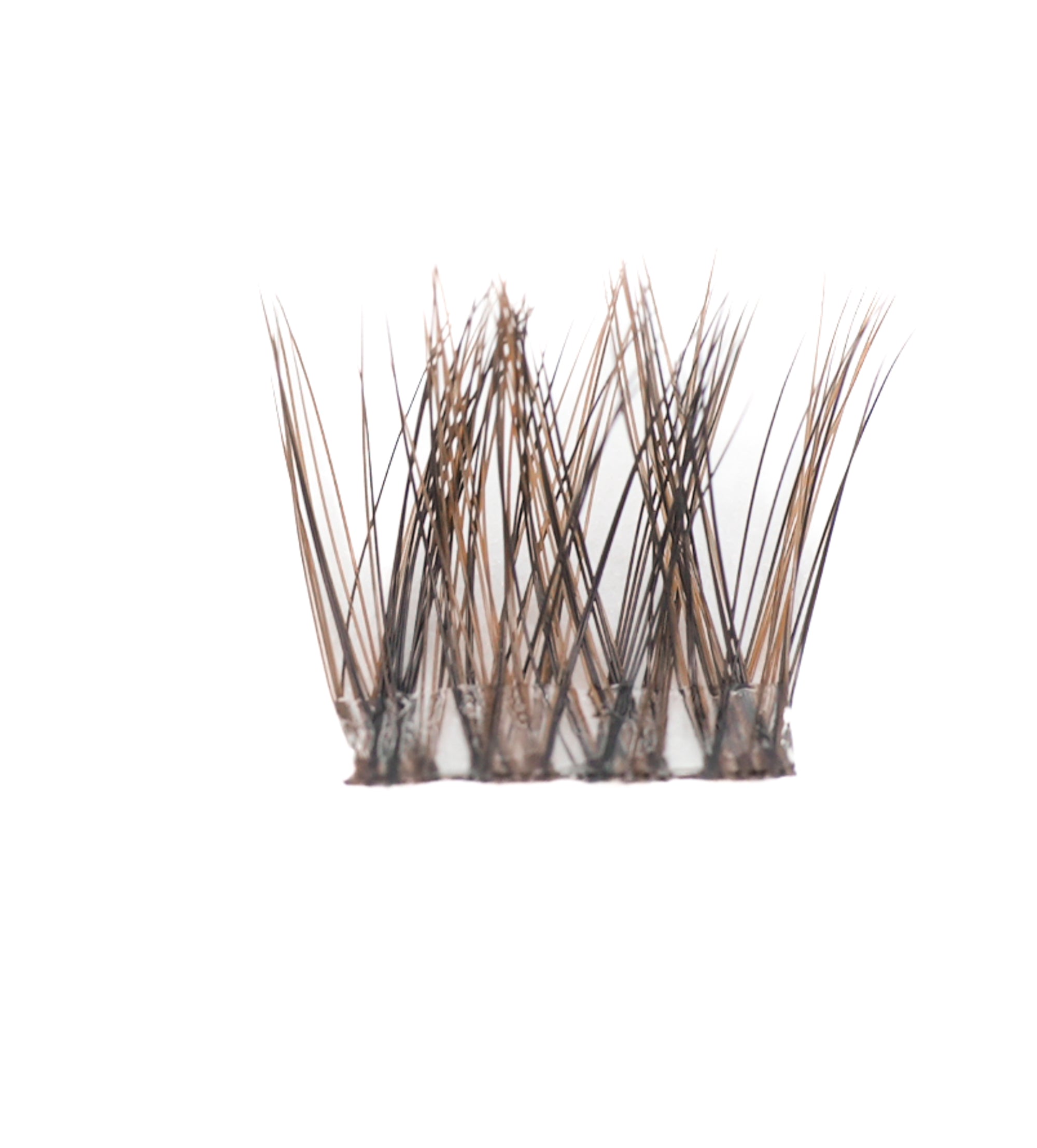 Bronde Balayage Lashes