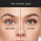Classic cat eye lash extensions shown in a before and after view, enhancing outer corners for a lifted, elongated effect