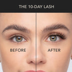 Classic wispy lash extensions shown in a before and after comparison, highlighting added length, curl, and volume.