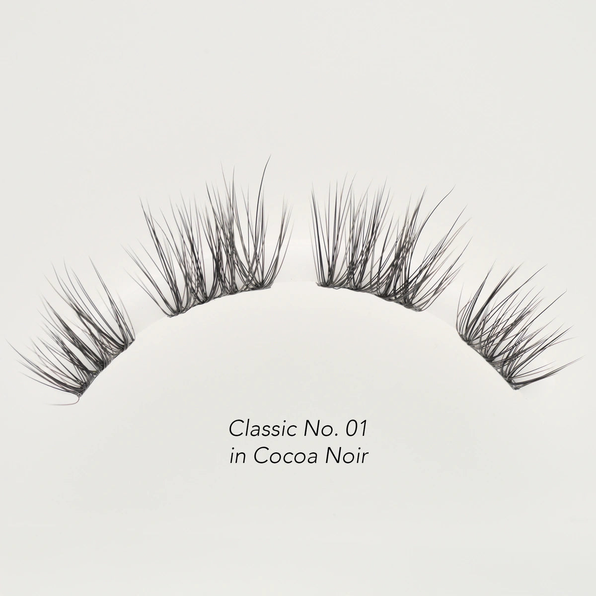 Lash Balayage Starter Kit