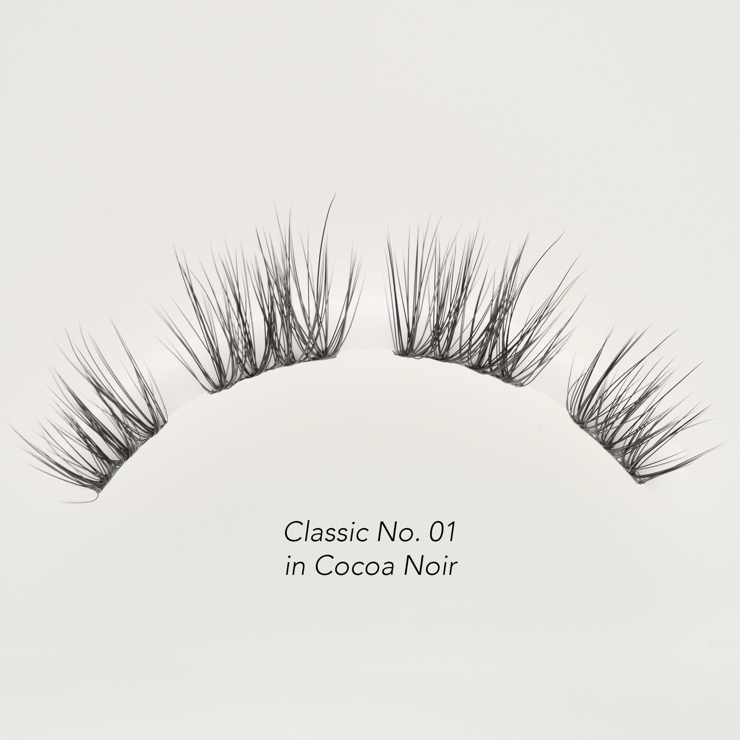 Lash Balayage Starter Kit