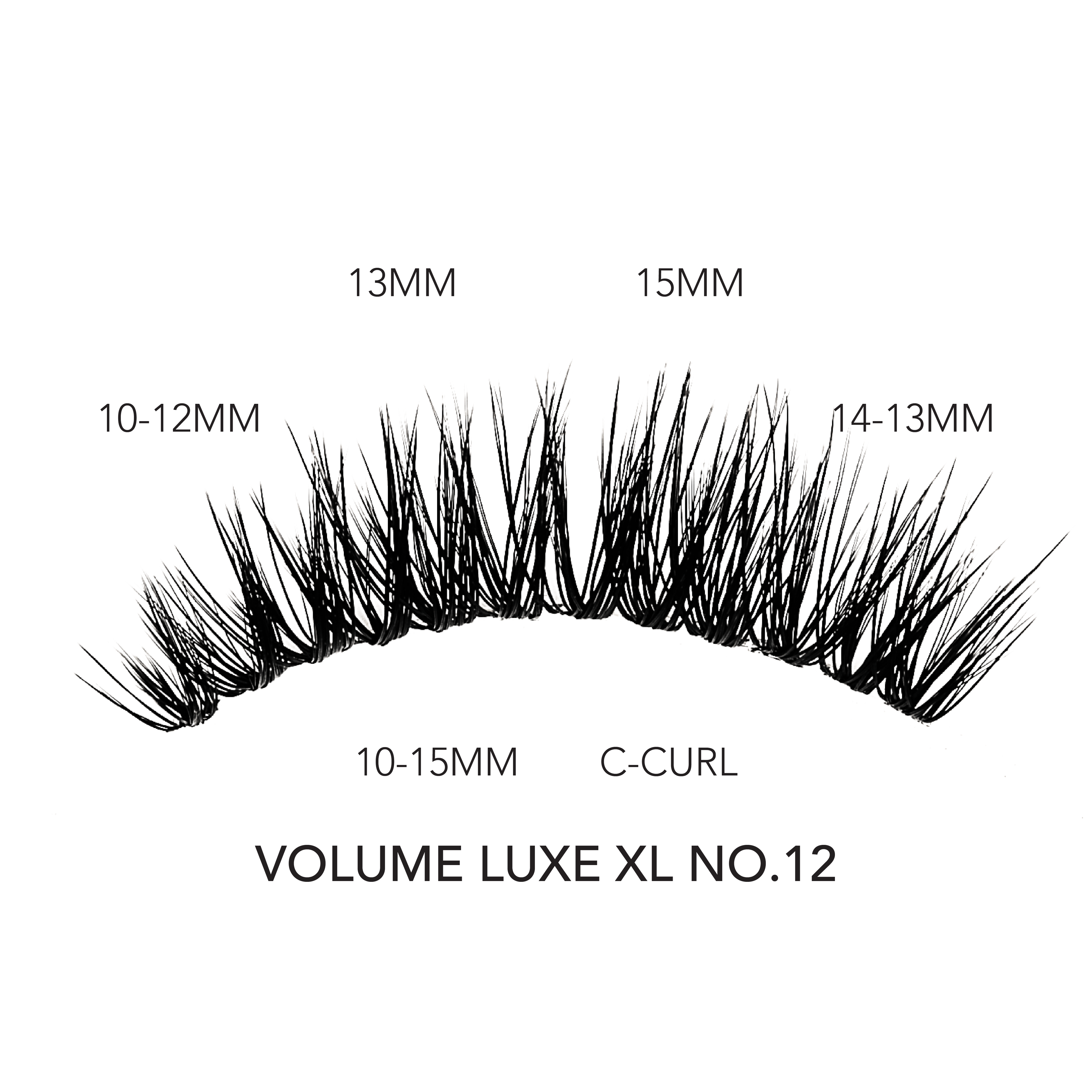 Premade volume lashes in C-curl with lengths from 10MM to 15MM shown in style VOLUME LUXE XL NO.12.