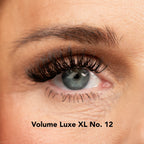 Lisa Wilson Starter Kit