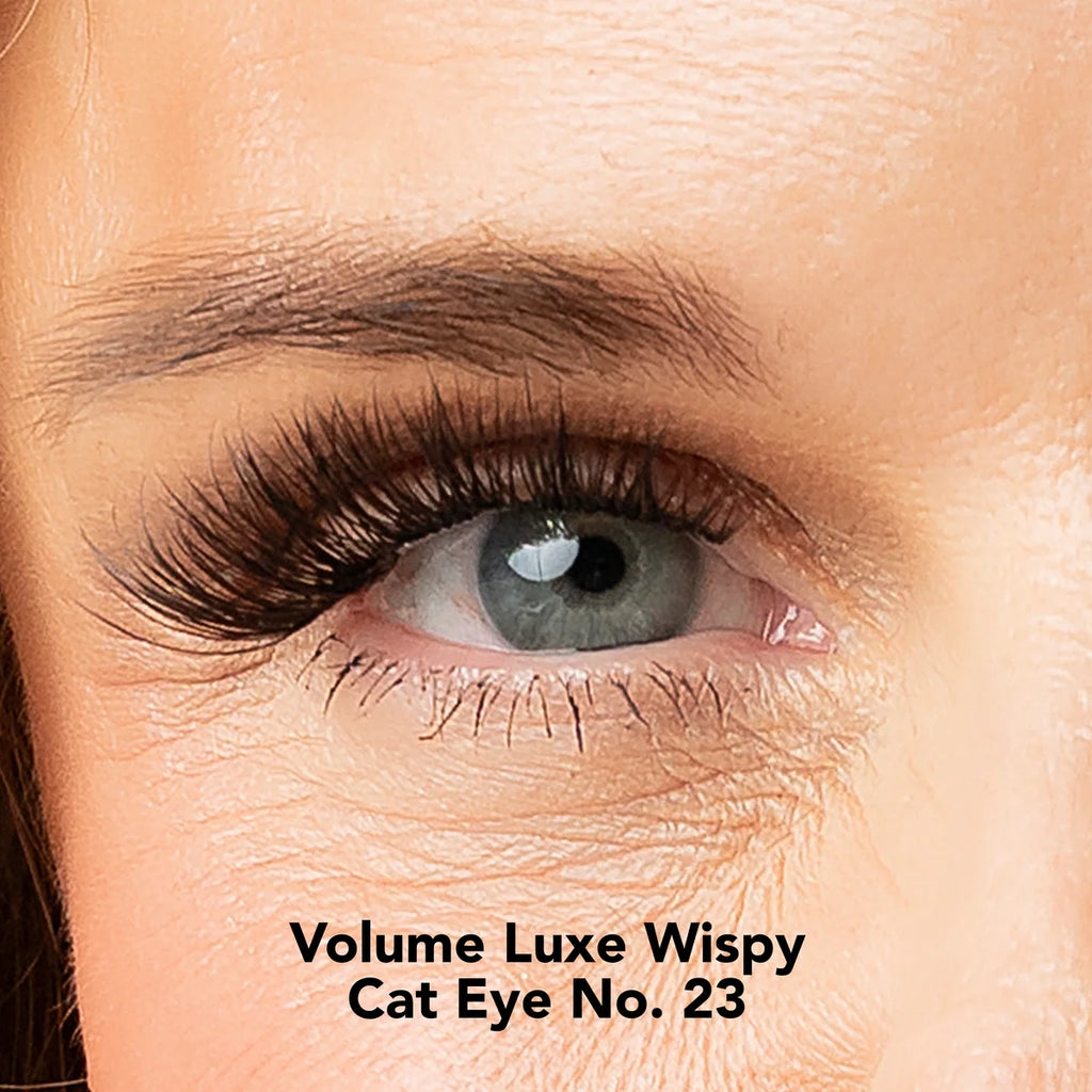 Lisa Wilson Starter Kit