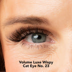 Lisa Wilson Starter Kit