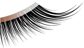 prowear image