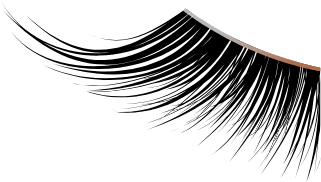 softwear image