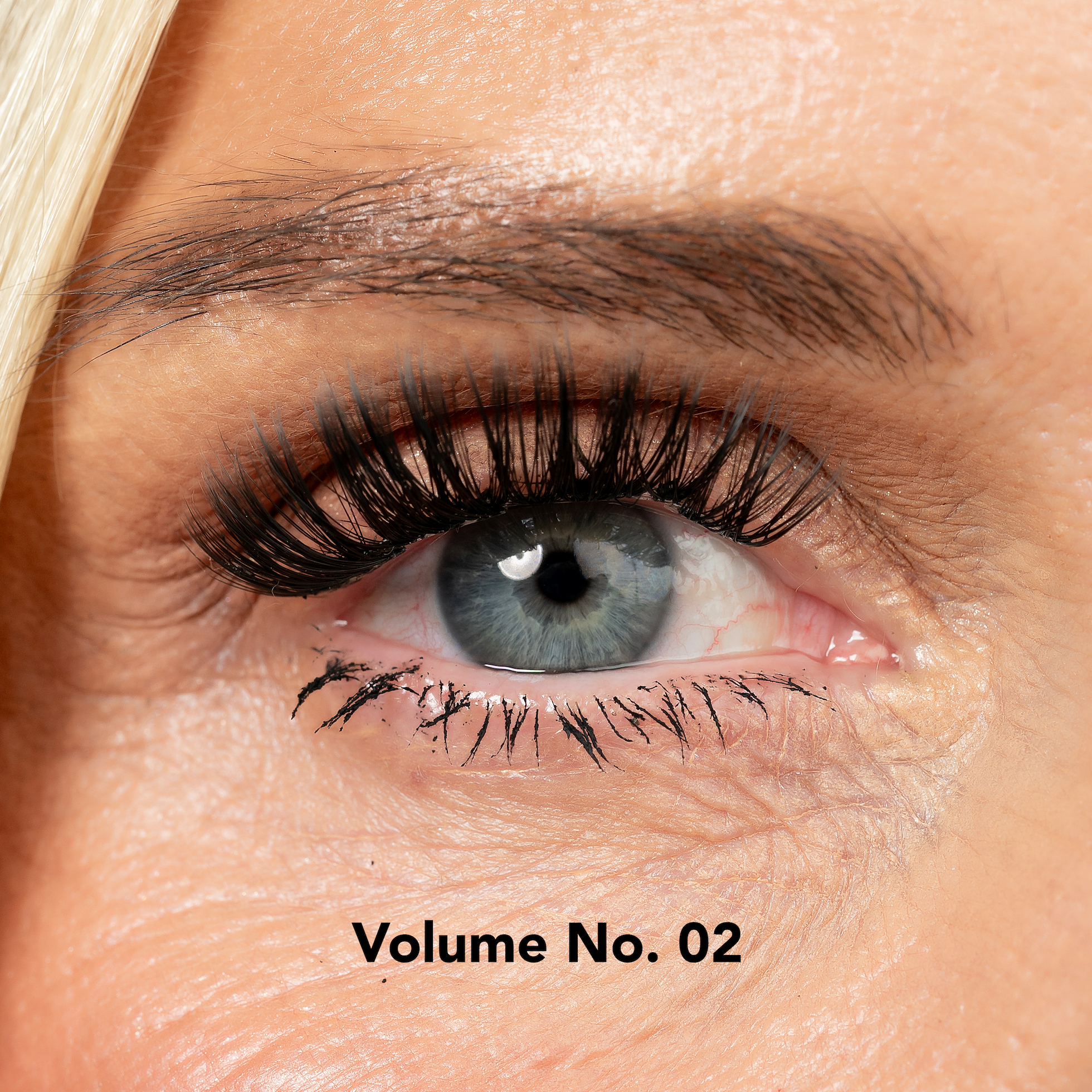 Lisa Wilson Starter Kit